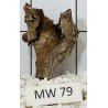 Mangrovewood 79