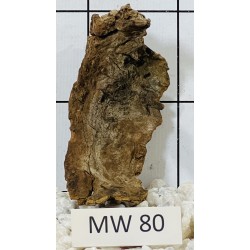 Mangrovewood 80