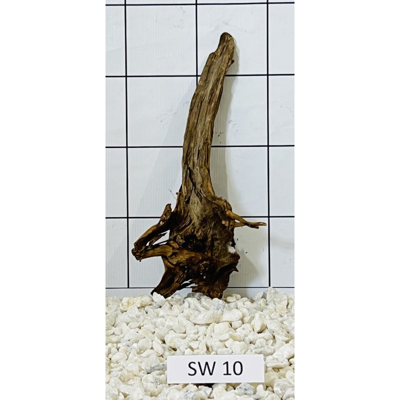 Stump wood 10