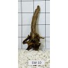 Stump wood 10