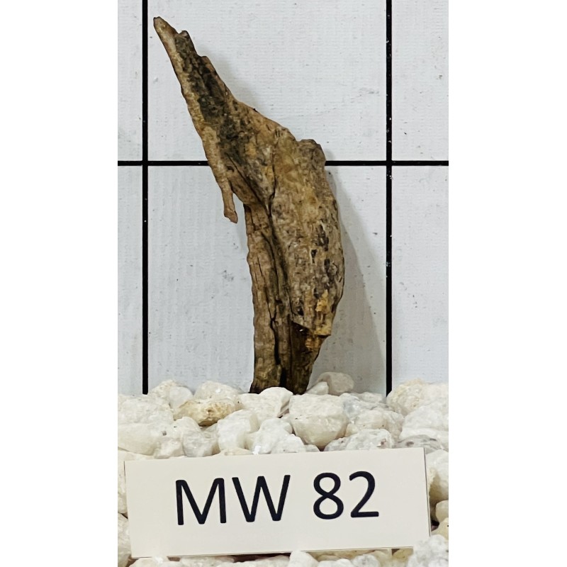 Mangrovewood 82