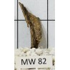 Mangrovewood 82
