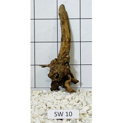Stump wood 10