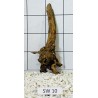 Stump wood 10