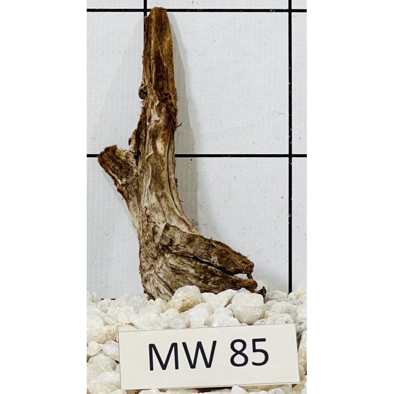 Mangrovewood 85