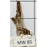 Mangrovewood 85
