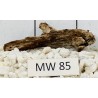 Mangrovewood 85