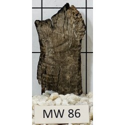Mangrovewood 86