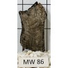 Mangrovewood 86