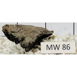 Mangrovewood 86