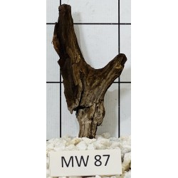 Mangrovewood 87