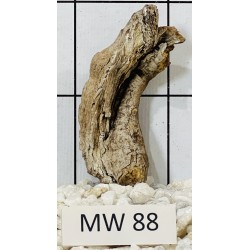 Mangrovewood 88