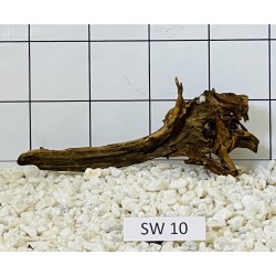 Stump wood 10