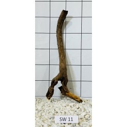 Stump wood 11