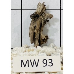 Mangrovewood 93
