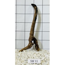 Stump wood 11