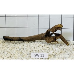 Stump wood 11
