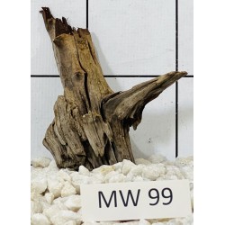 Mangrovewood 99