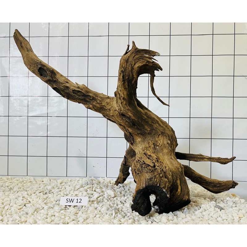 Stump wood 12