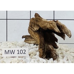 Mangrovewood 102