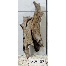 Mangrovewood 102