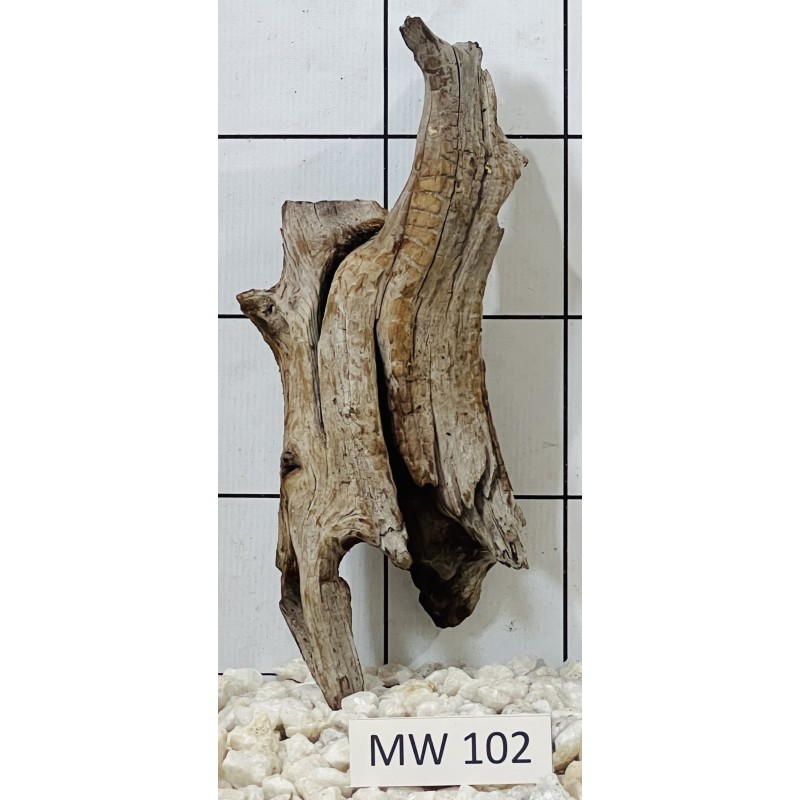 Mangrovewood 102