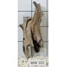 Mangrovewood 102