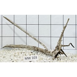Mangrovewood 103