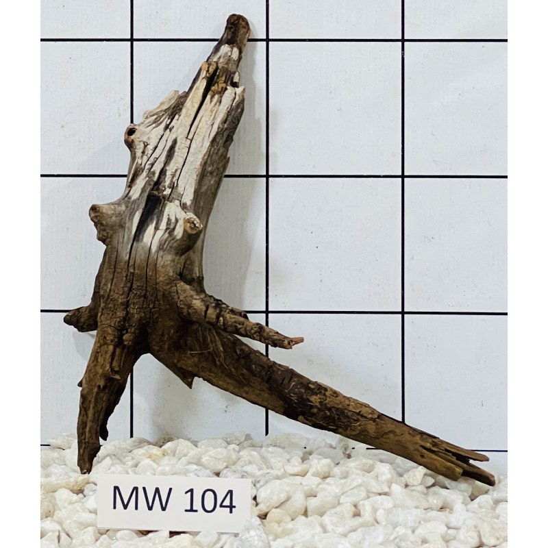 Mangrovewood 104