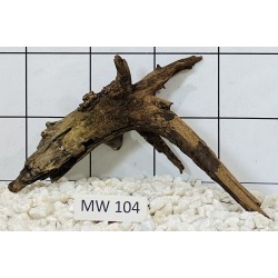 Mangrovewood 104