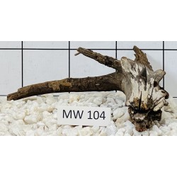 Mangrovewood 104