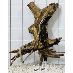 Mangrovewood 105