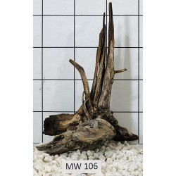Mangrovewood 106