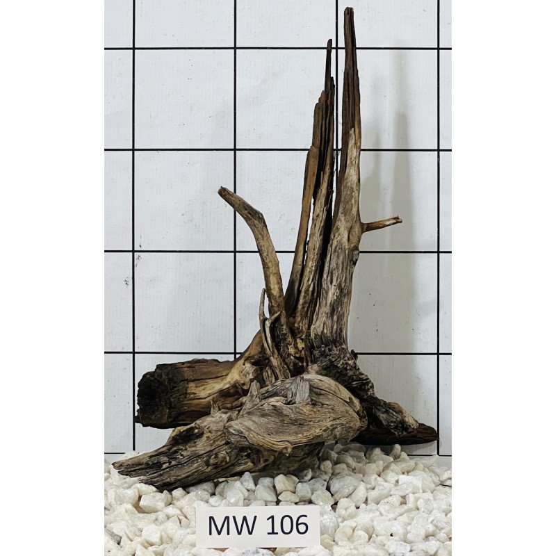 Mangrovewood 106