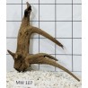 Mangrovewood 107