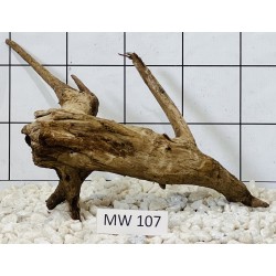 Mangrovewood 107