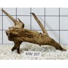 Mangrovewood 107