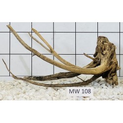 Mangrovewood 108