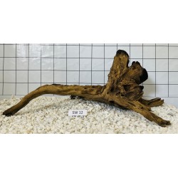 Stump wood 12