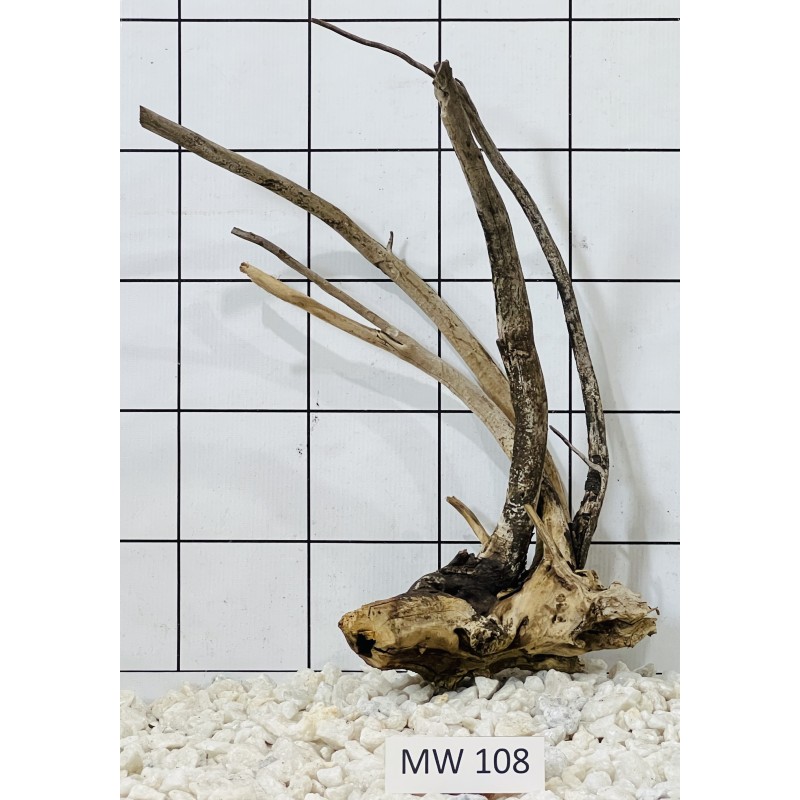 Mangrovewood 108