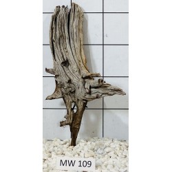 Mangrovewood 109
