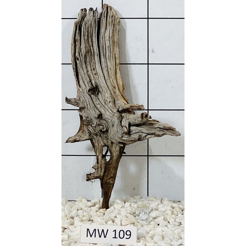 Mangrovewood 109