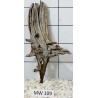 Mangrovewood 109
