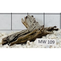 Mangrovewood 109