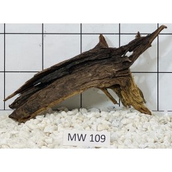 Mangrovewood 109