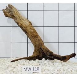 Mangrovewood 110