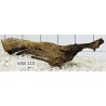 Mangrovewood 110