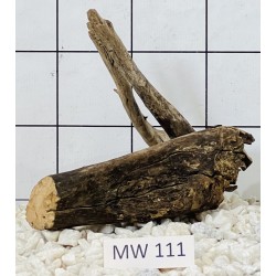 Mangrovewood 111