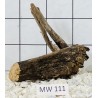 Mangrovewood 111