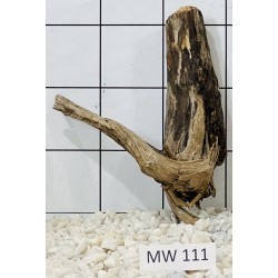 Mangrovewood 111